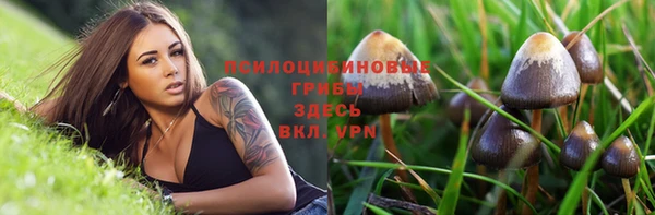 стафф Волоколамск