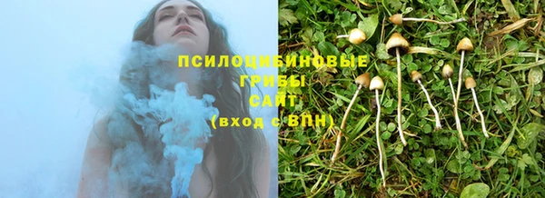 стафф Волоколамск
